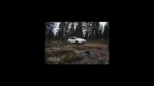 Нечто из леса - страшная история -