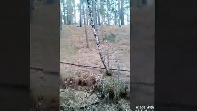 ,,Призрак Сталкера,,Мини фильм. смотреть онлайн