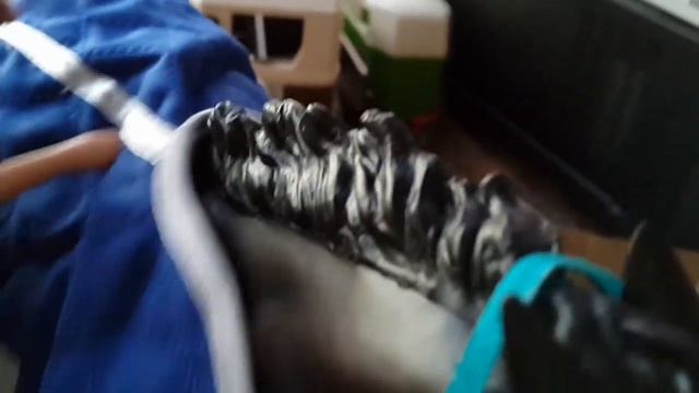 Коварный конь...Black Caviar