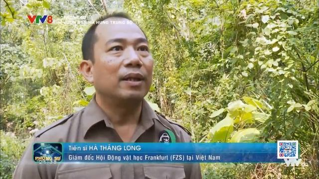 VTV8_ Vượn đen má hung trung bộ смотреть онлайн