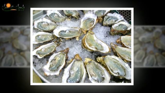 SUN & SANDS BEACH HOTEL