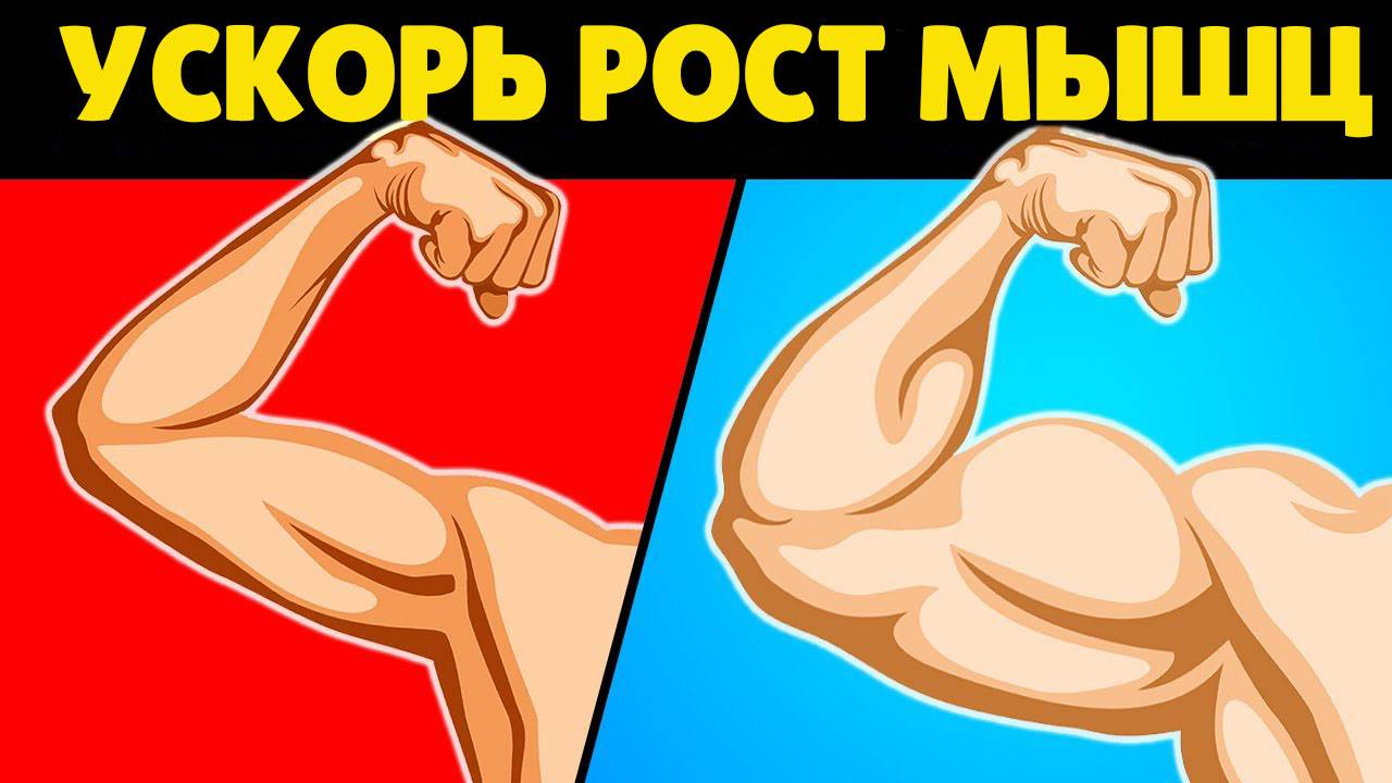 Отдых-пауза и дропсет помогают набрать мышечную массу. Разберемся правда ли это.