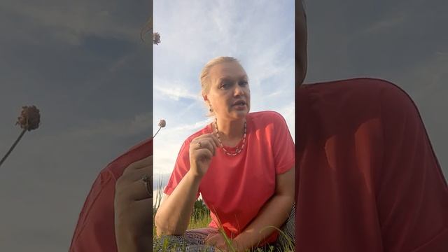 Жизнь в деревне на самообеспечении. Реально это или нет? смотреть онлайн
