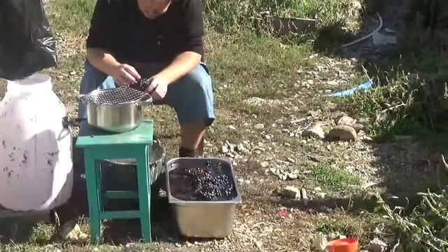 Я стащила ЛИЗИН СОК Пытаемся все успеть смотреть онлайн