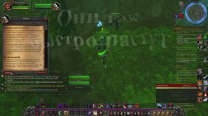Они так  быстро растут WoW 3.3.5