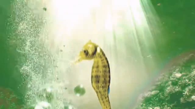 смесители гекко (1-3 части)