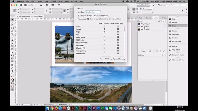 InDesign: Hilfreiche Optionen im Verknüpfungen-Panel einschalten смотреть онлайн
