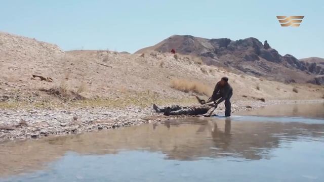 Бурхан убивает Махмуда, чтобы возглавить отряд бойцов в Сирии/ Телесериал «Противостояние» смотреть онлайн