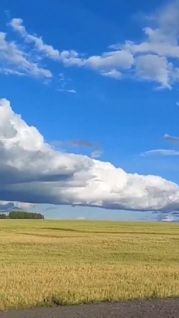Живой канал о жизни в деревне. Подписывайтесь!!! https://youtu.be/Xl7hwHMx1kE смотреть онлайн