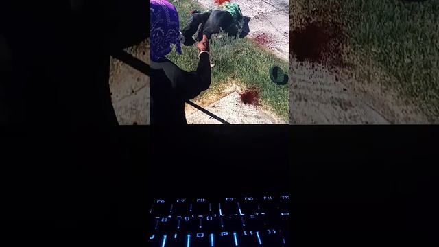 GTA 5 gore mod