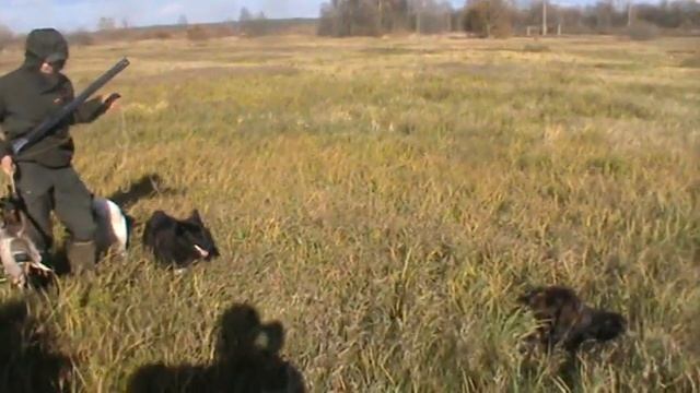 С Мишаней  за  утками .