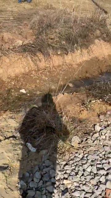 Заезд на участок с плитами смотреть онлайн