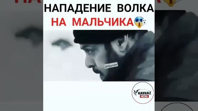 Нападает волк на мальчика смотреть онлайн