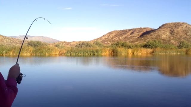 IMPRESSIVE START With NEW JOINTED SWIMBAIT LURE- Fishing A Tough Weedy Lake смотреть онлайн