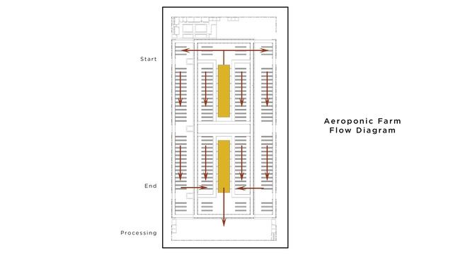 The Ark | Design Process + Architecture Case Studies (Week 1-5) смотреть онлайн