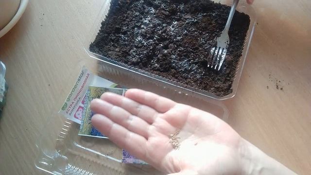 САДОВОД-НИЩЕБРОД/ПИКИРУЮ БАКЛАЖАНЫ/ВКУСНАЯ ГОРБУША/ТУШЬ FABERLIC смотреть онлайн