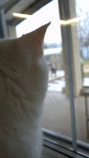 Вкусно и чисто!