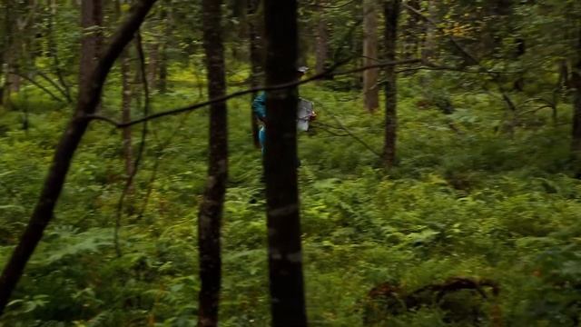 Область спорта. Выпуск 38 смотреть онлайн