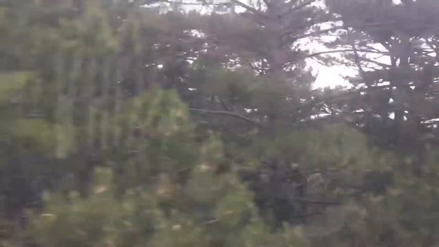 Отдых в Крыму смотреть онлайн