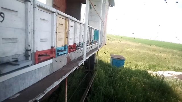 7.05.2021 Сезон кочёвки начался смотреть онлайн