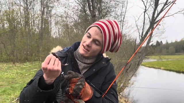 Майский Плав. Речка Либья. Копченый карп и жареная щука под музыку Луи Армстронга.