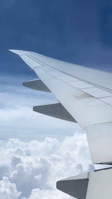 777 wing #shorts #boeing #flight смотреть онлайн