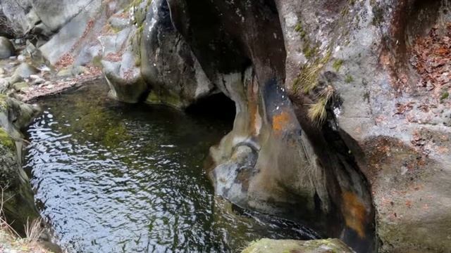 Вили Костенец смотреть онлайн
