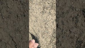 Отсев тоже годится для бетона.