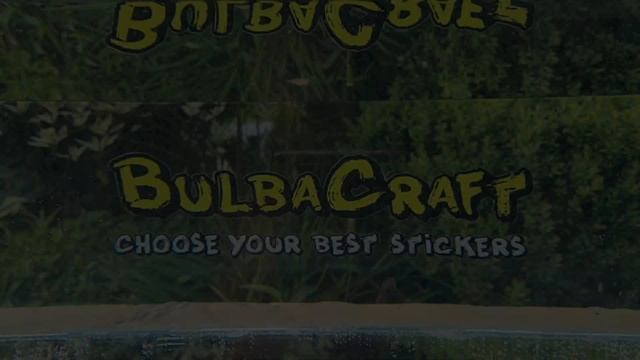 BulbaCraft stickers - Набор Беларусь 2 (STP316) 9 листов А6 - 51 уникальный стикер в упаковке смотреть онлайн