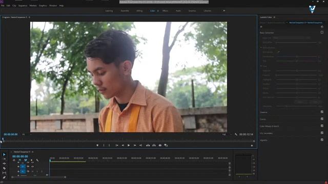 PREMIERE PRO LIVE TUTORIAL#1 смотреть онлайн