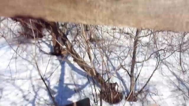 Домик на дереве своими руками. смотреть онлайн