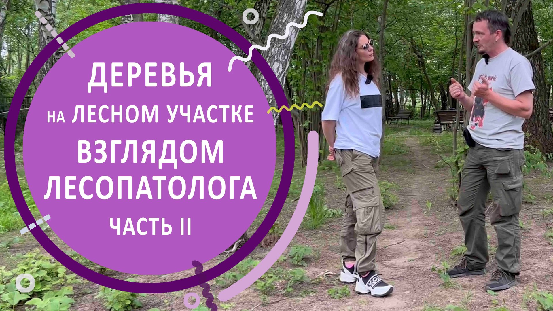 Лесной участок. Обследование состояния деревьев. Часть 2