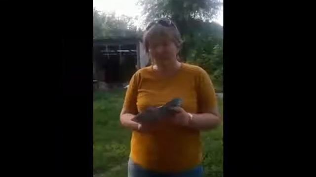Миллионеры из UNNNITY смотреть онлайн