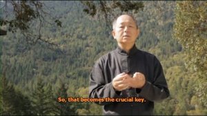 Курс Нейгун мастера Ян Цзюнмина секреты развития внутренней силы и боевого цигун часть 6