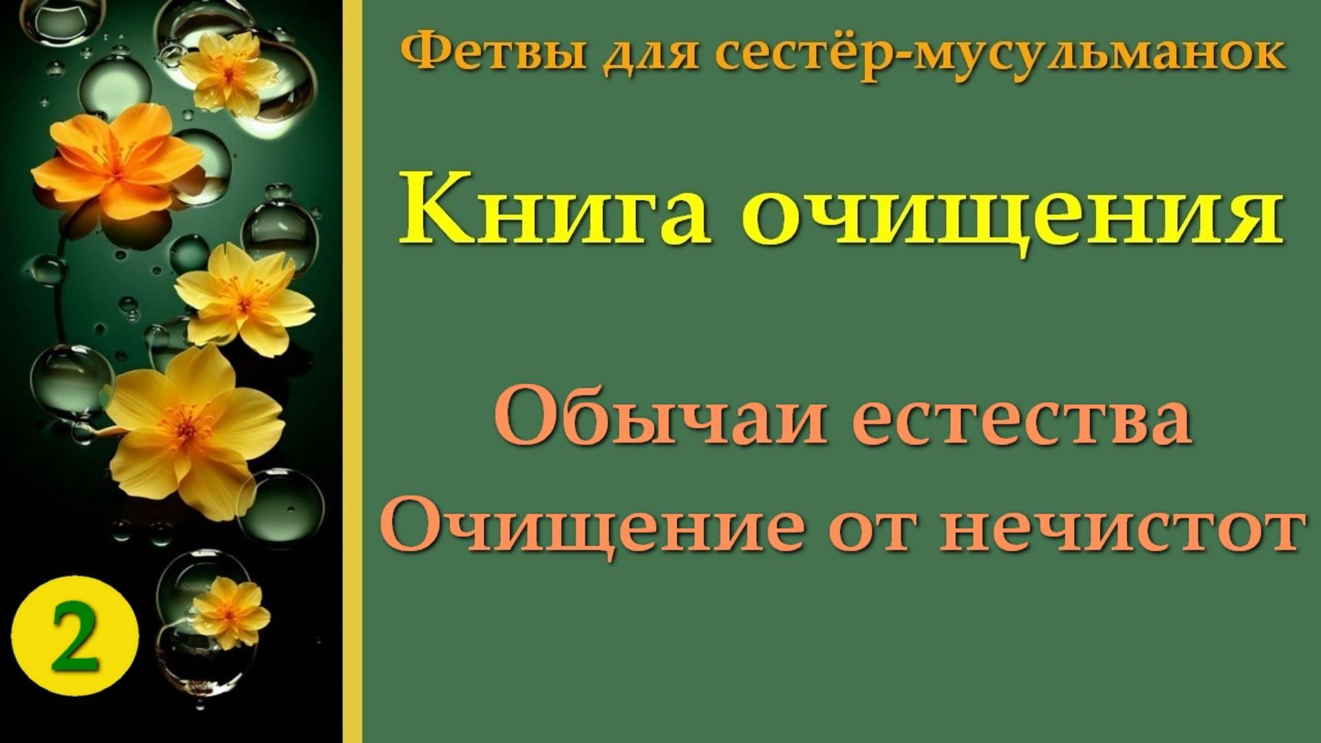 2. Книга Очищения (Обычаи естества. Очищение от нечистот)