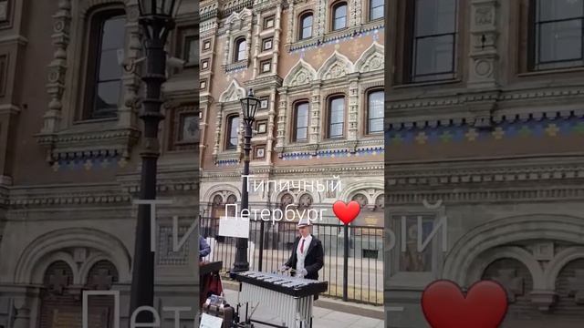 Спас на крови 31.03.24 #санктпетербург #типичныйпитер смотреть онлайн