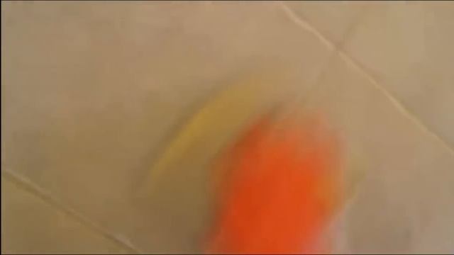 How to grout a ceramic tile floor. смотреть онлайн