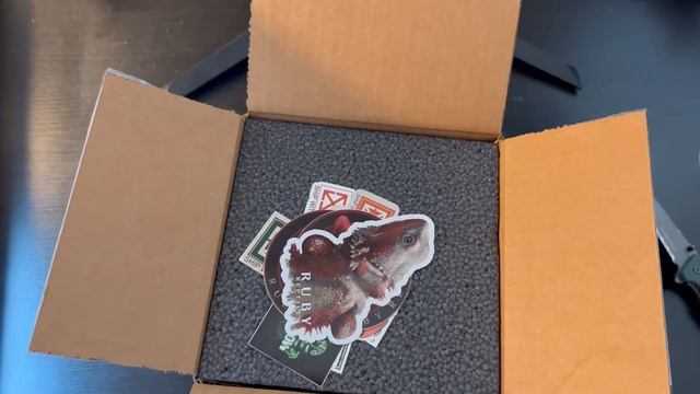 Red Monster (bearded dragon) Unboxing from Ruby Reptiles (Reptile Super Show) смотреть онлайн