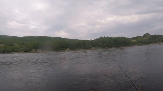 Как охотиться Нерпа