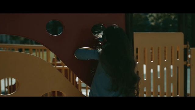Sony A7SIII, FX3, ZV-E1 Slog3 Graded, Film Convert For That Film Look!!