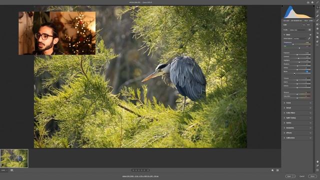 Online Masterclass | Post-production & Nature Photography смотреть онлайн
