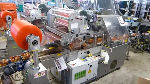 Automation: Sorma flow wrapper FLW producing eco-punnet смотреть онлайн