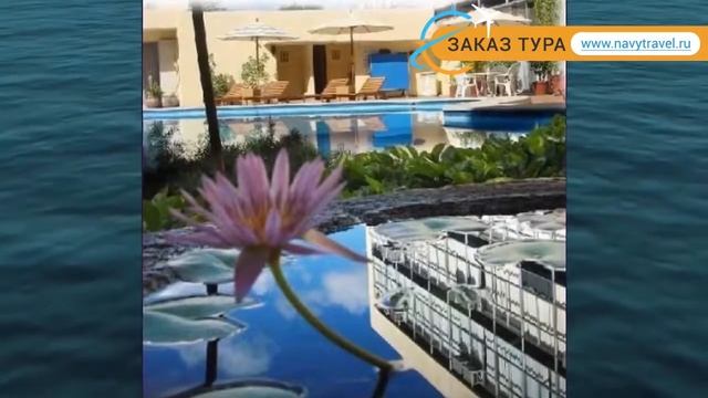 MARIA DEL CARMEN HOTEL MERIDA 4* Канкун обзор – МАРИЯ ДЕЛЬ КАРМЕН ХОТЕЛ МЕРИДА 4* Канкун видео обзо смотреть онлайн