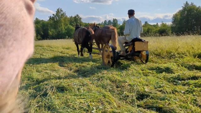 Рабочие лошади на сенокосе смотреть онлайн