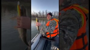 Рыбалка в апреле на реке Бузан.