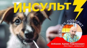 Инсульт у животных：Признаки инсульта у собак и кошек