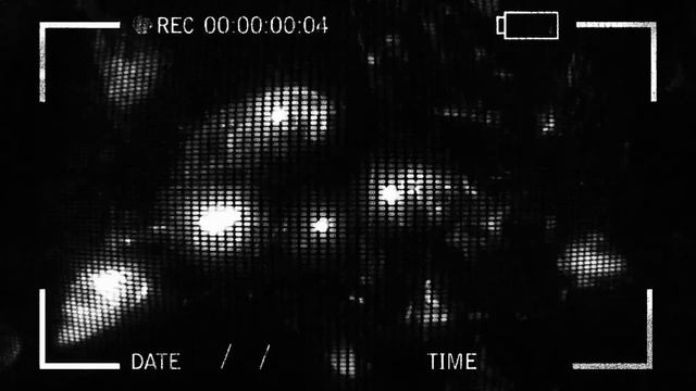 LOVEMUSIC PRESENTS: LOVMSC.WAV DRUM KIT смотреть онлайн