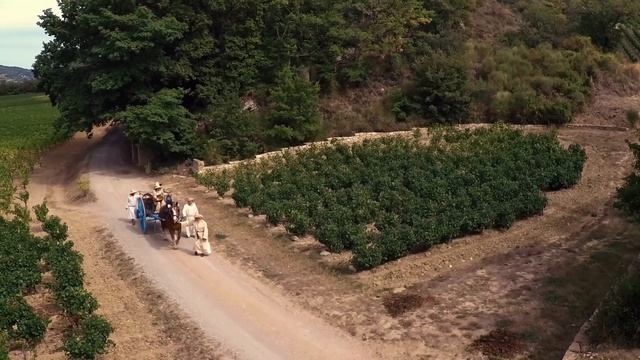 1531- Naissance du vin effervescent смотреть онлайн