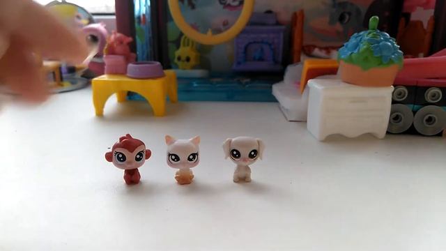 Все мои Littlest Pet Shop 1 часть смотреть онлайн