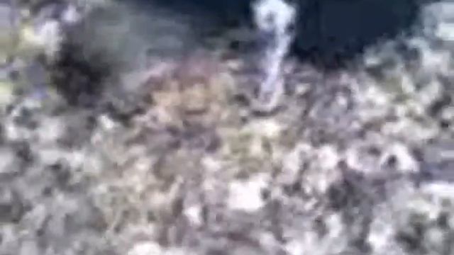 Фильм.wmv смотреть онлайн
